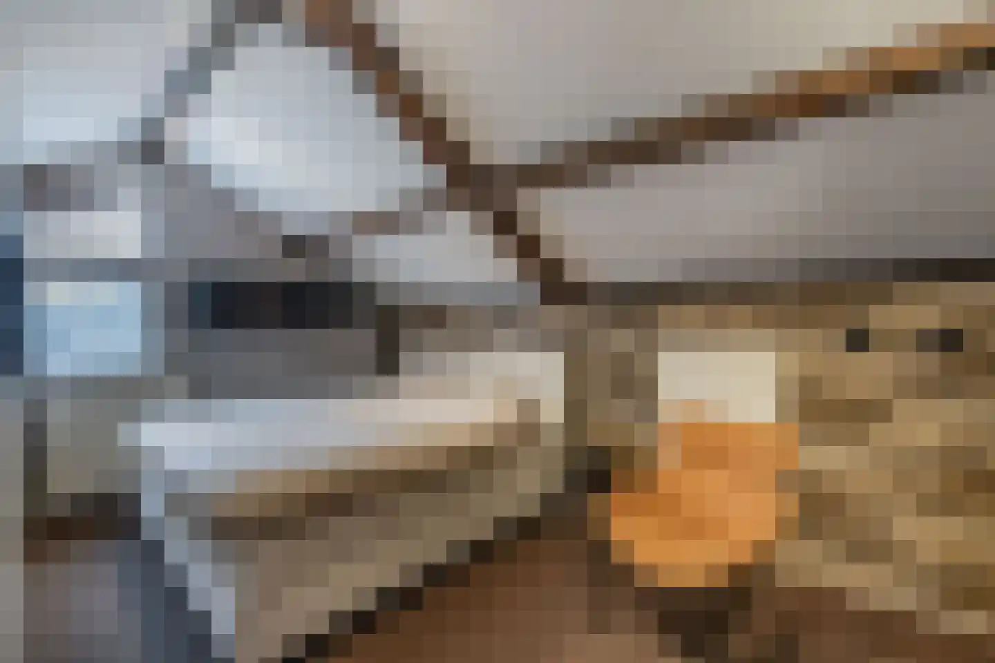 Ame 63 Drachten thumbnail 32