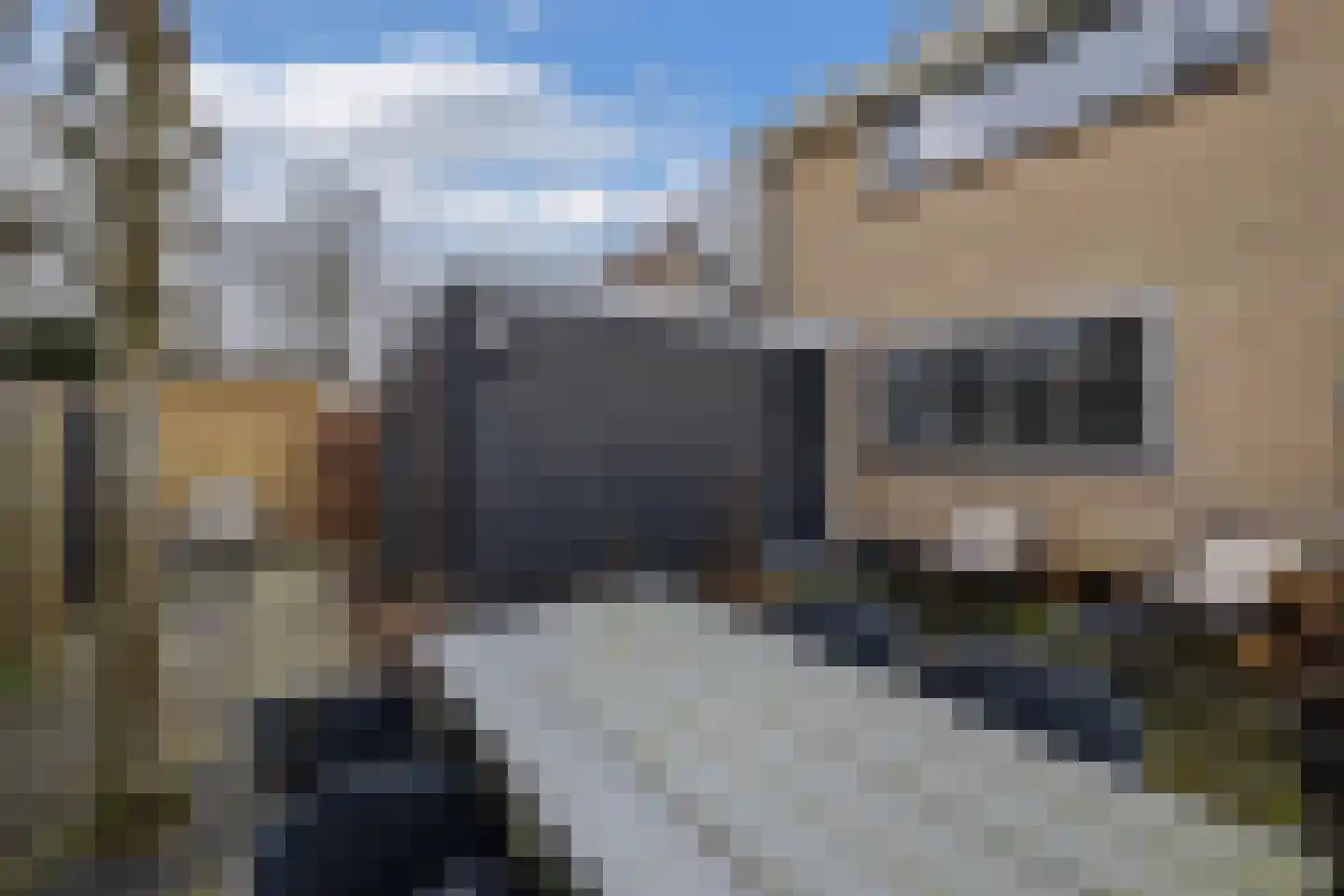 Ame 63 Drachten thumbnail 33