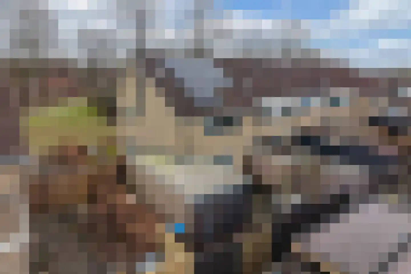 Ame 63 Drachten thumbnail 37