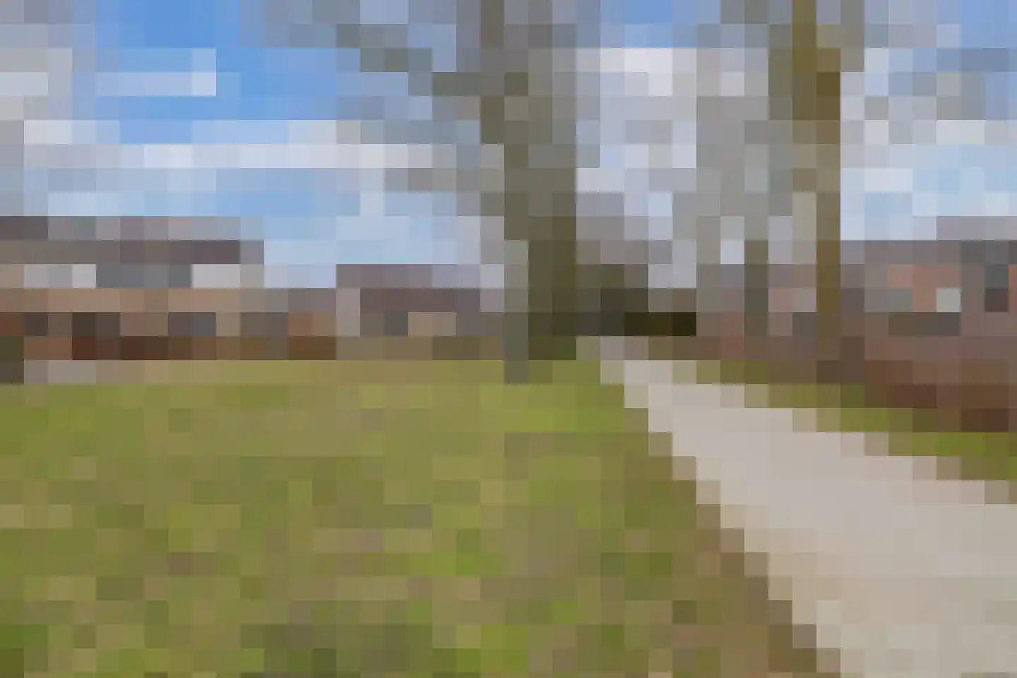 Ame 63 Drachten thumbnail 40