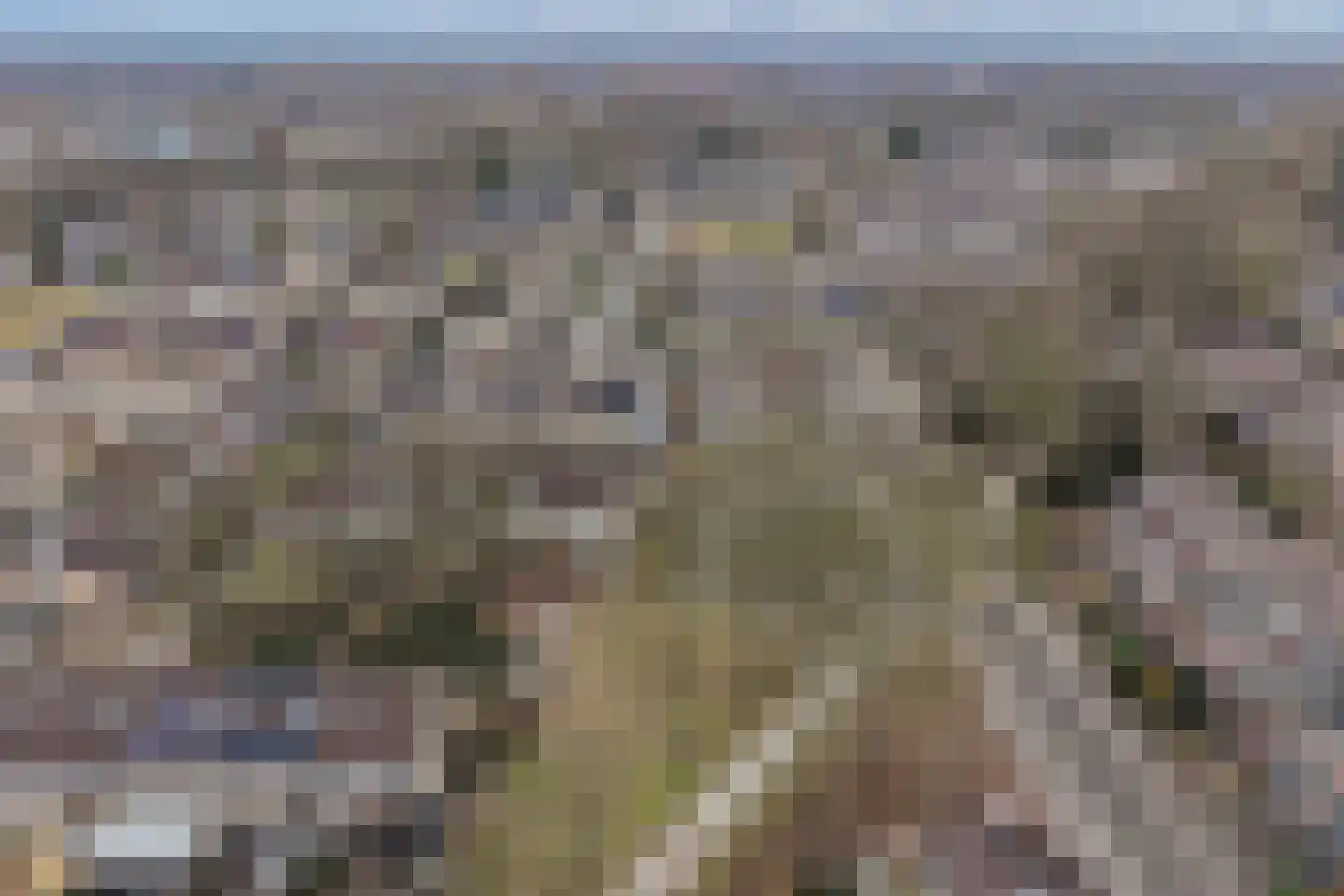 Ame 63 Drachten thumbnail 42