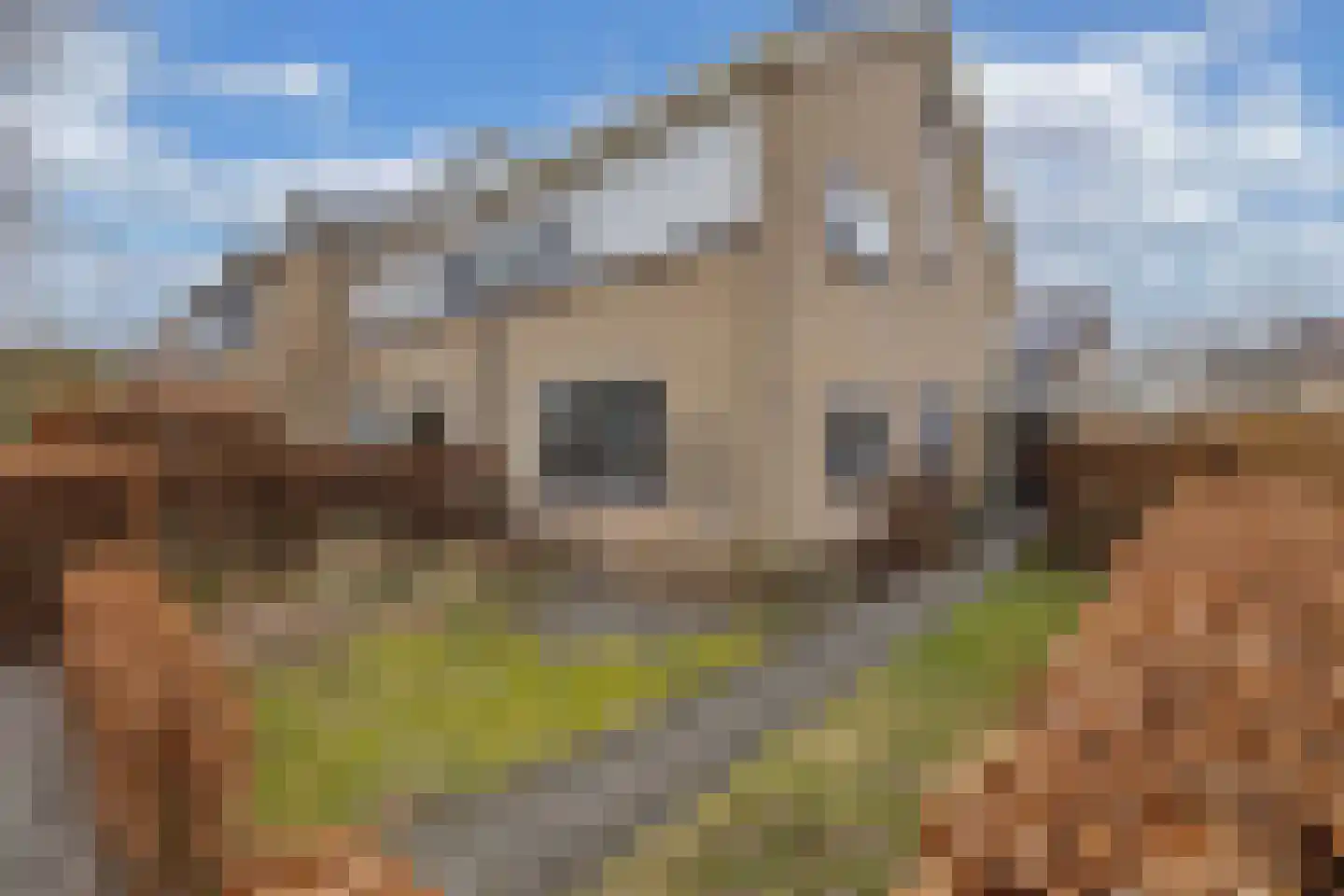 Ame 63 Drachten thumbnail 6