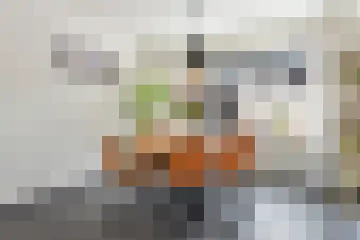 Ameideplantsoen 2 Arnhem thumbnail 11