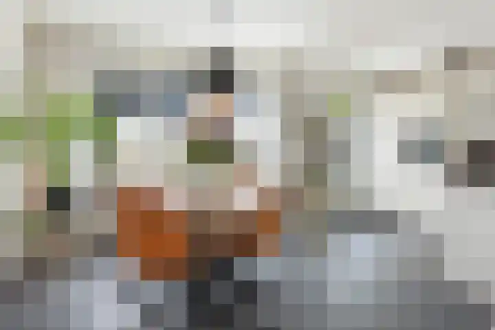 Ameideplantsoen 2 Arnhem thumbnail 12