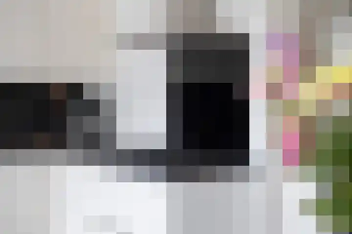 Ameideplantsoen 2 Arnhem thumbnail 16
