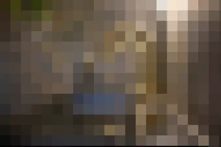 Ameideplantsoen 2 Arnhem thumbnail 24
