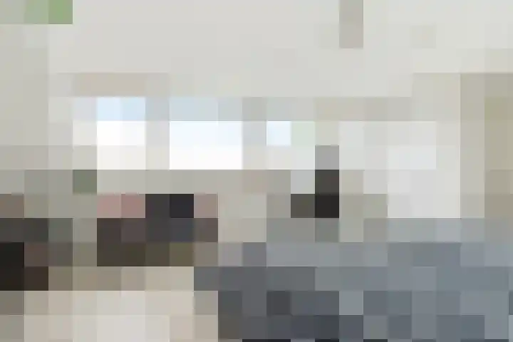 Ameideplantsoen 2 Arnhem thumbnail 35