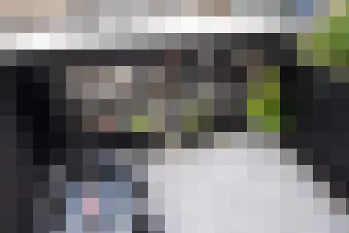 Ameideplantsoen 2 Arnhem thumbnail 37