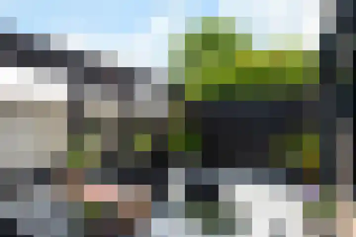 Ameideplantsoen 2 Arnhem thumbnail 43