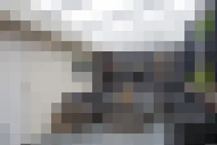 Ameideplantsoen 2 Arnhem thumbnail 47
