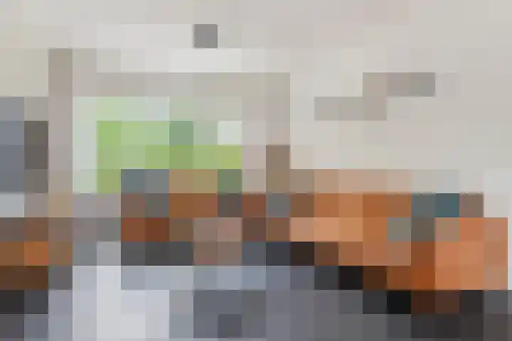 Ameideplantsoen 2 Arnhem thumbnail 5