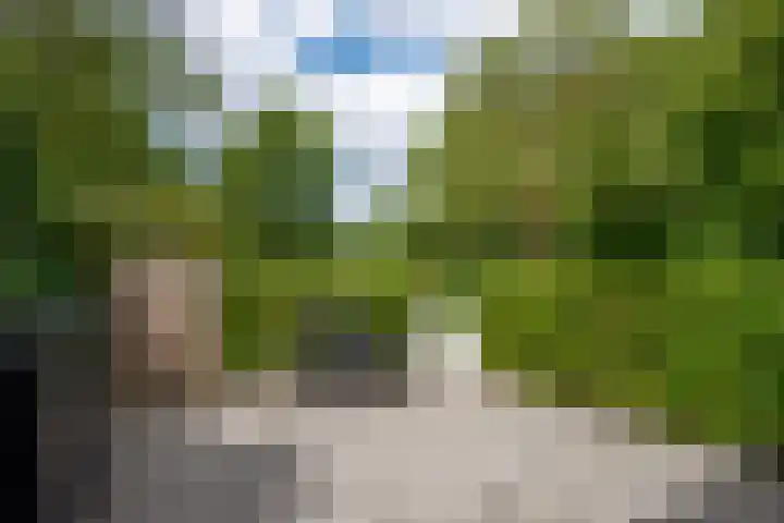 Ameideplantsoen 2 Arnhem thumbnail 61