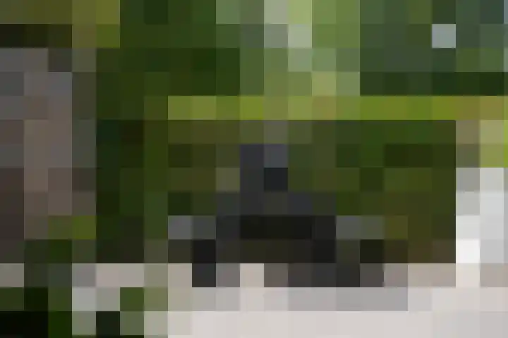 Ameideplantsoen 2 Arnhem thumbnail 62