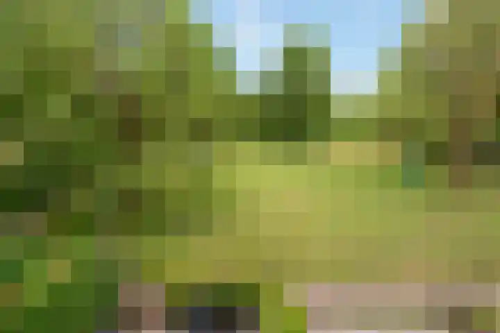 Ameideplantsoen 2 Arnhem thumbnail 63