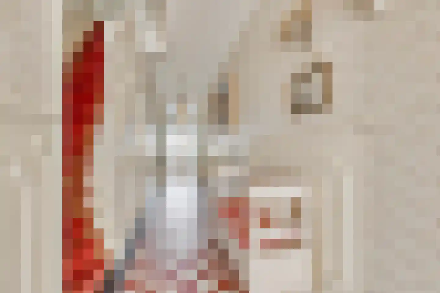 Ameidsedam 2 Spijk thumbnail 10