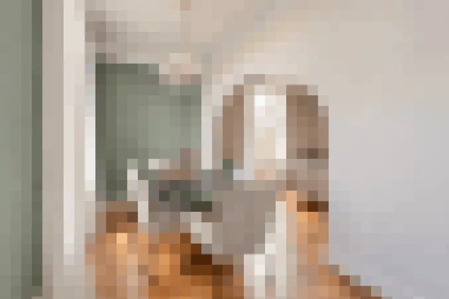 Ameidsedam 2 Spijk thumbnail 16