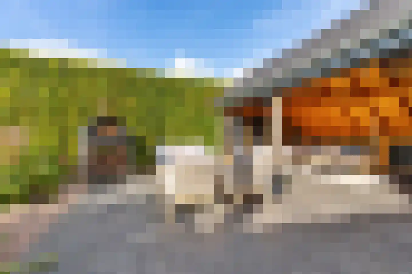 Ameidsedam 2 Spijk thumbnail 27