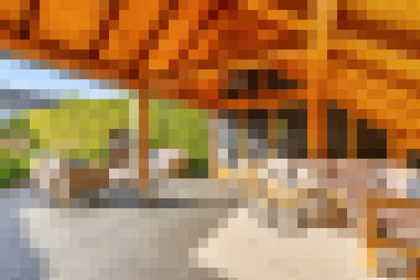 Ameidsedam 2 Spijk thumbnail 28