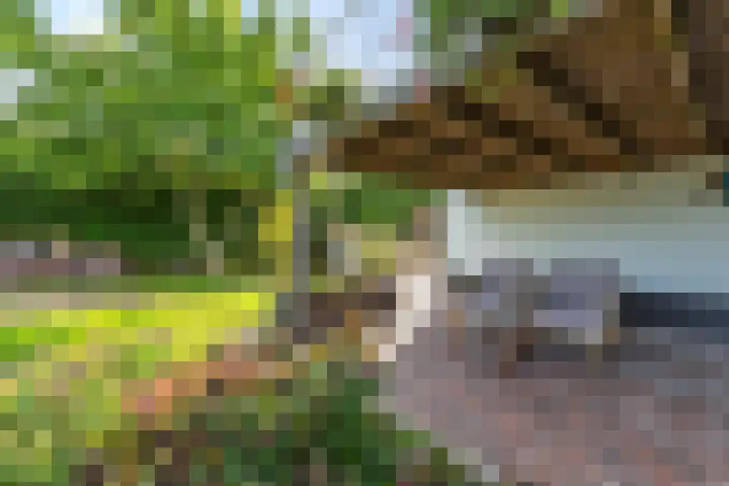 Ameidsedam 2 Spijk thumbnail 32