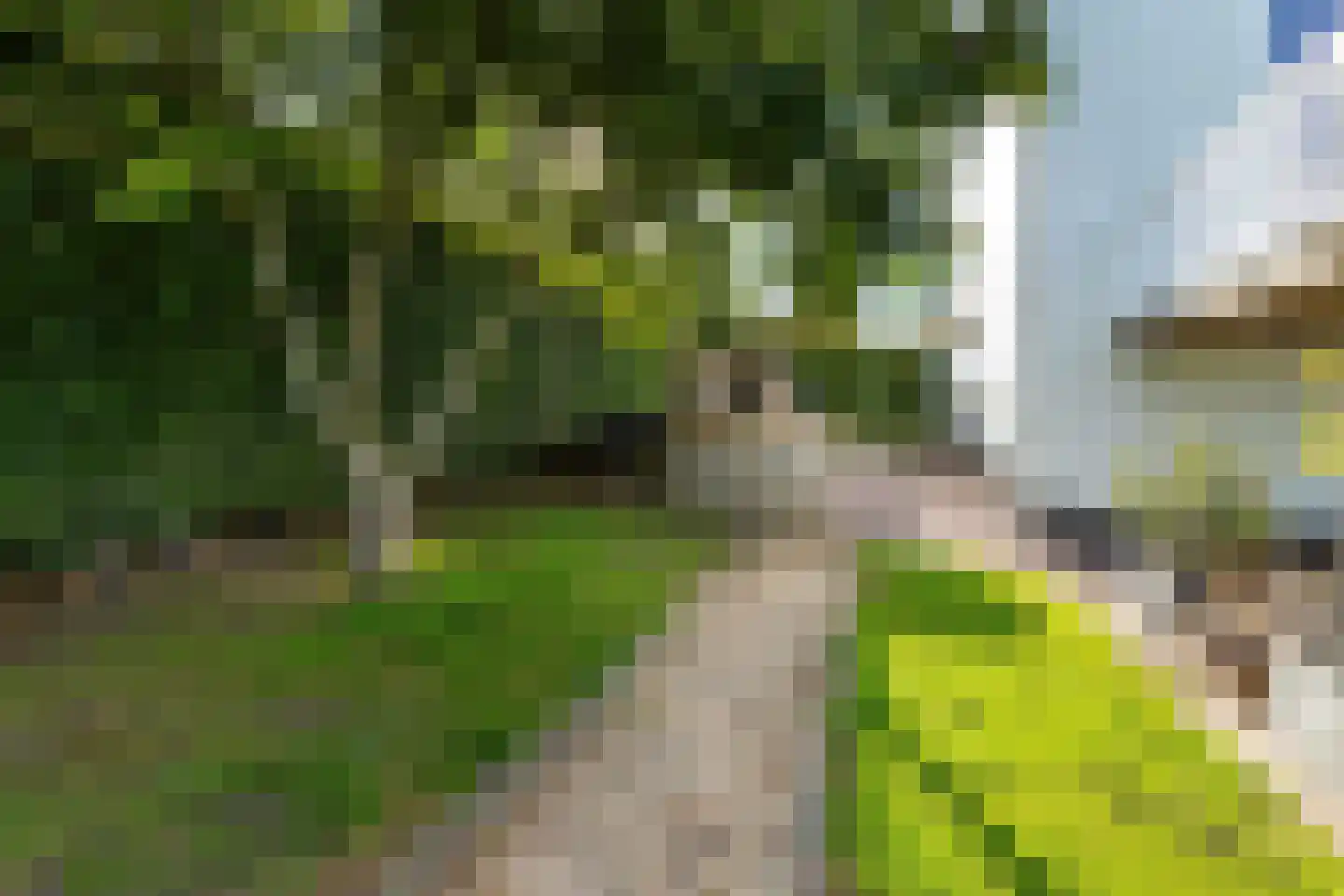 Ameidsedam 2 Spijk thumbnail 33