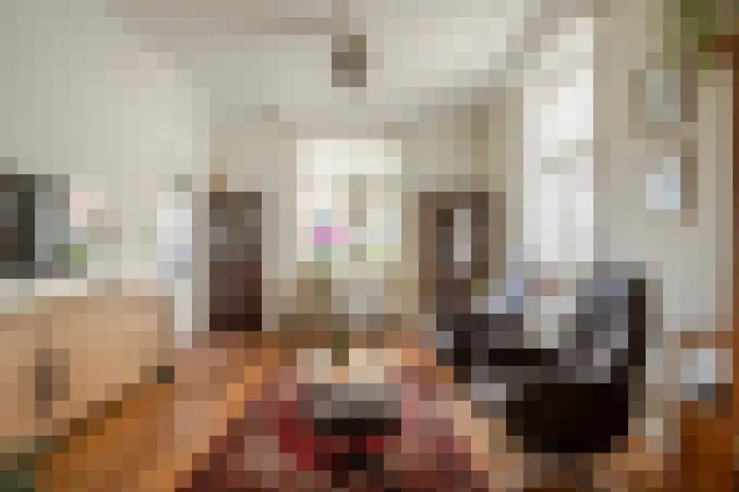 Ameidsedam 2 Spijk thumbnail 39