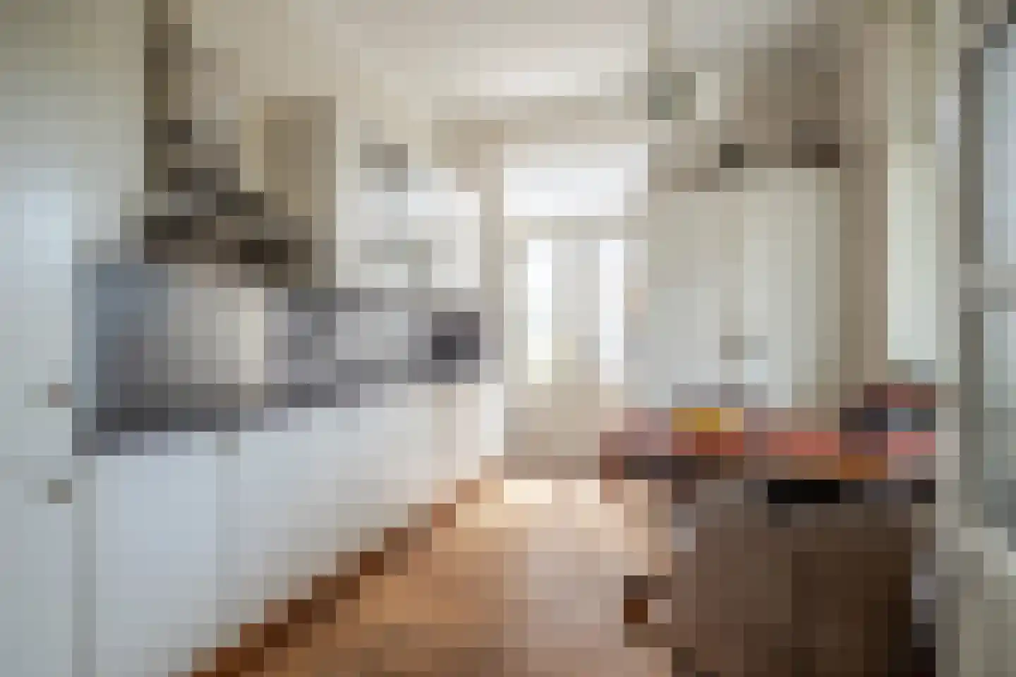 Ameidsedam 2 Spijk thumbnail 42