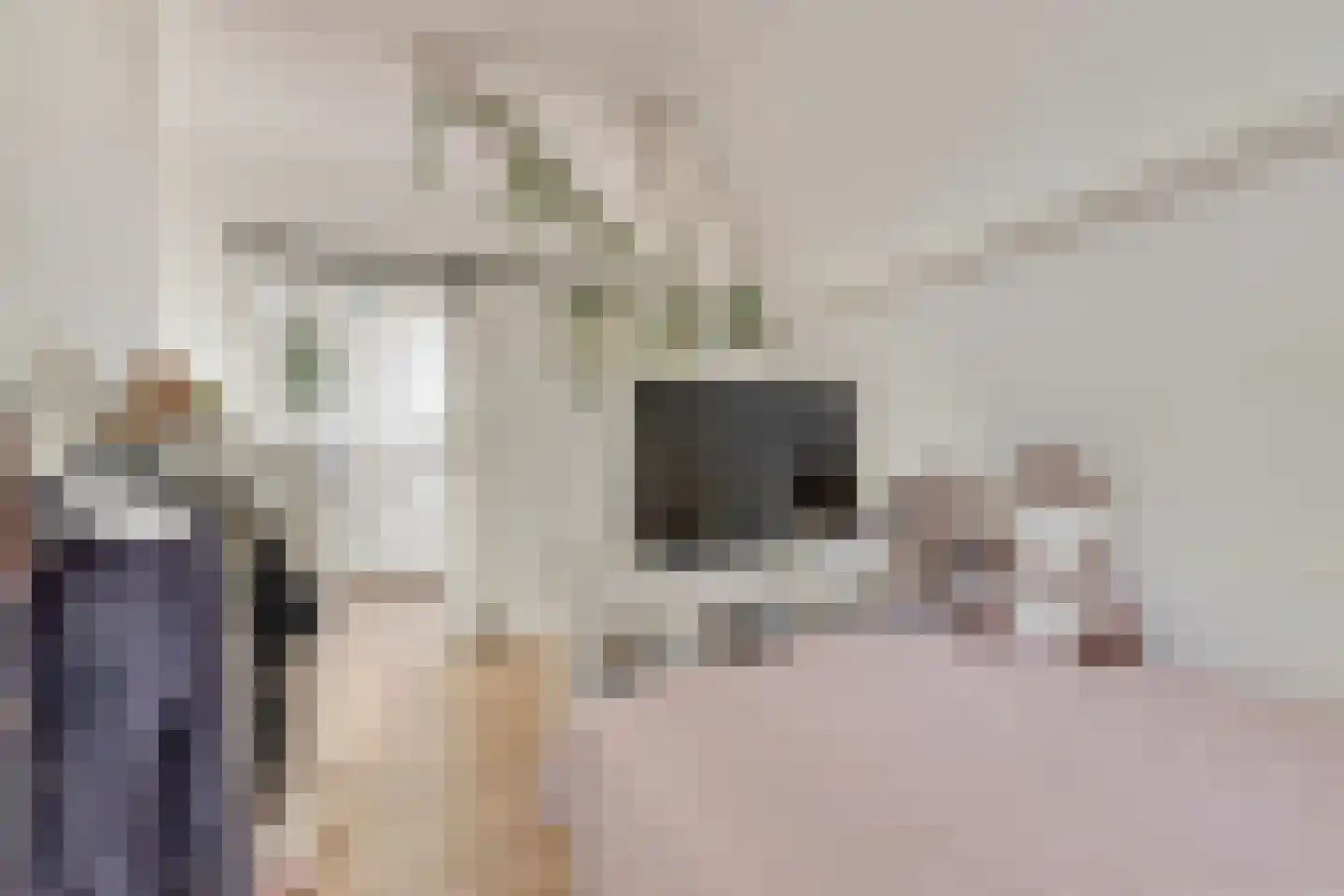 Ameidsedam 2 Spijk thumbnail 46