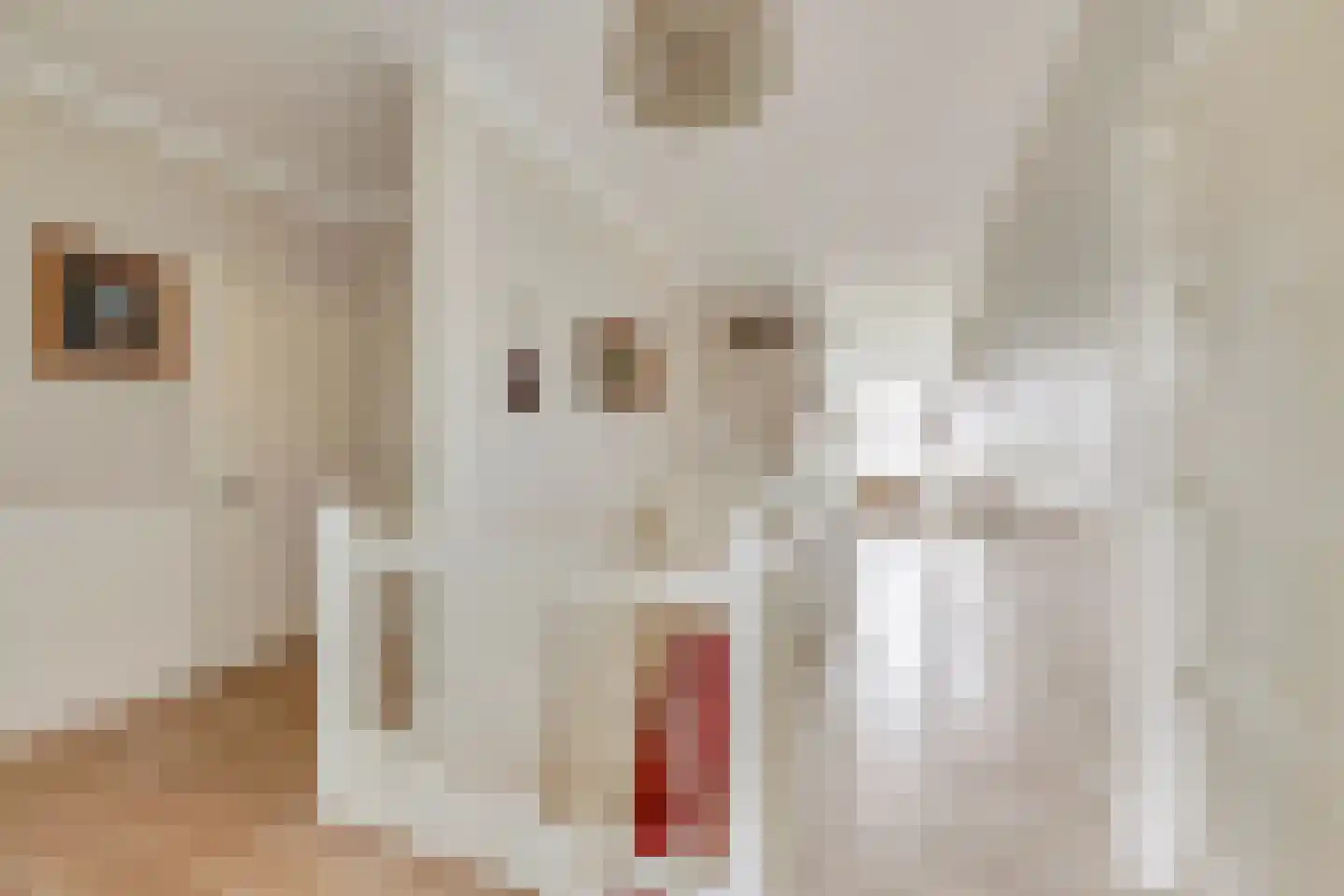 Ameidsedam 2 Spijk thumbnail 48