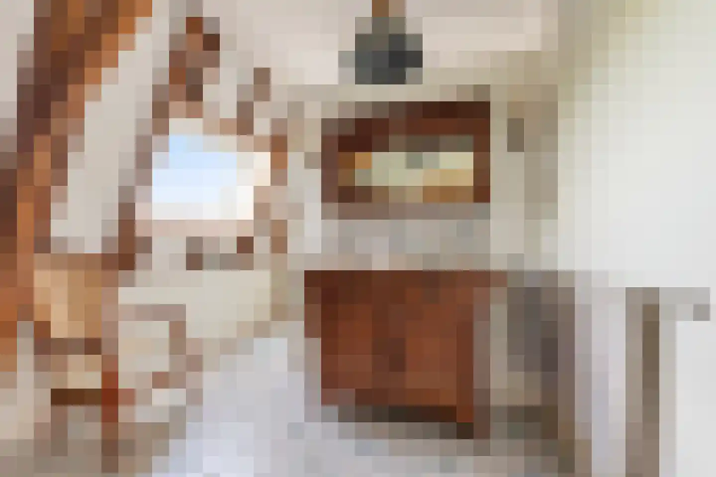 Ameidsedam 2 Spijk thumbnail 5