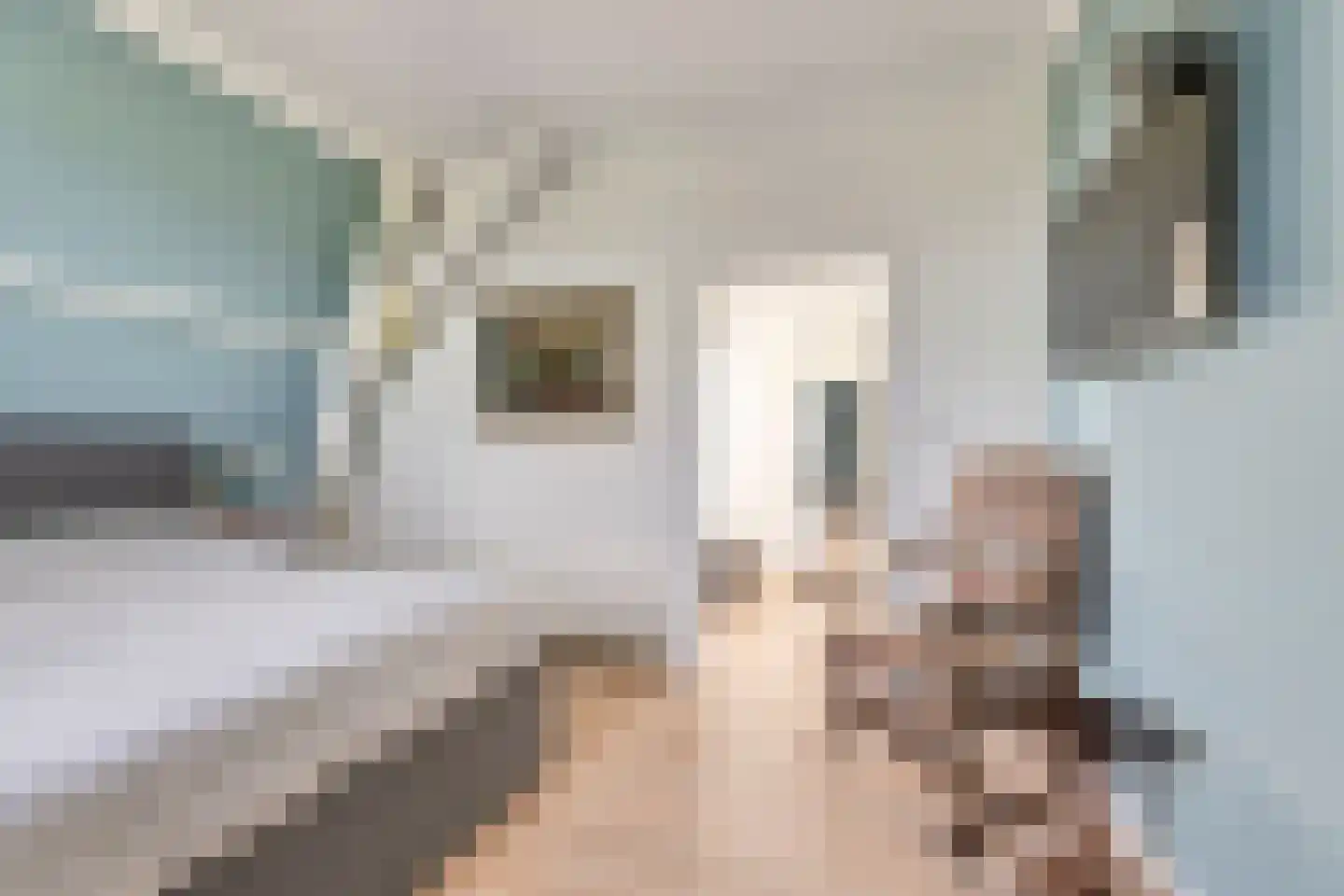Ameidsedam 2 Spijk thumbnail 51