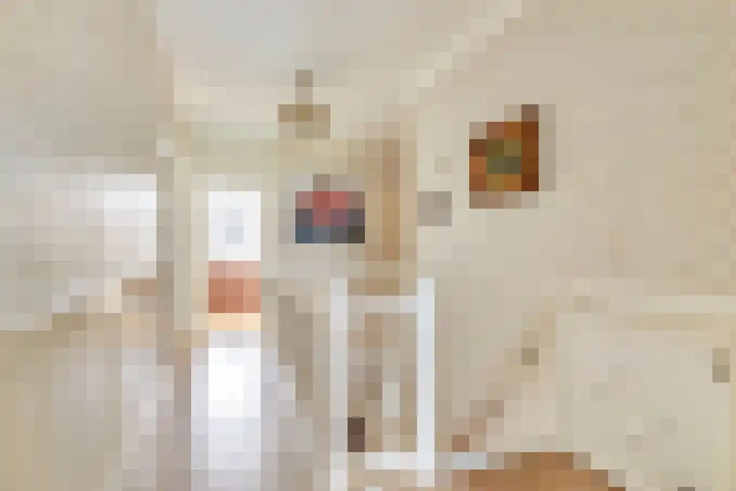 Ameidsedam 2 Spijk thumbnail 55