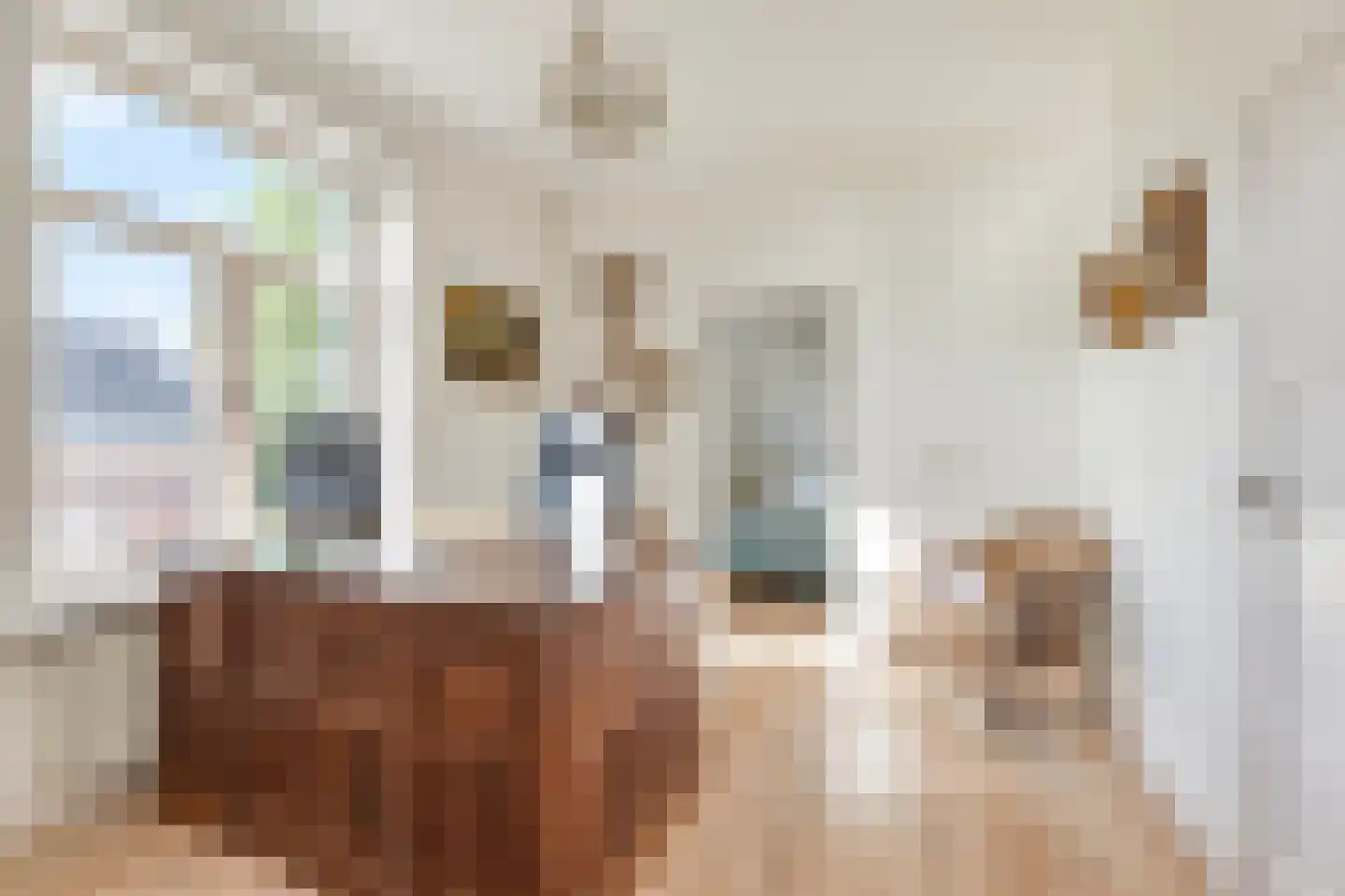 Ameidsedam 2 Spijk thumbnail 57