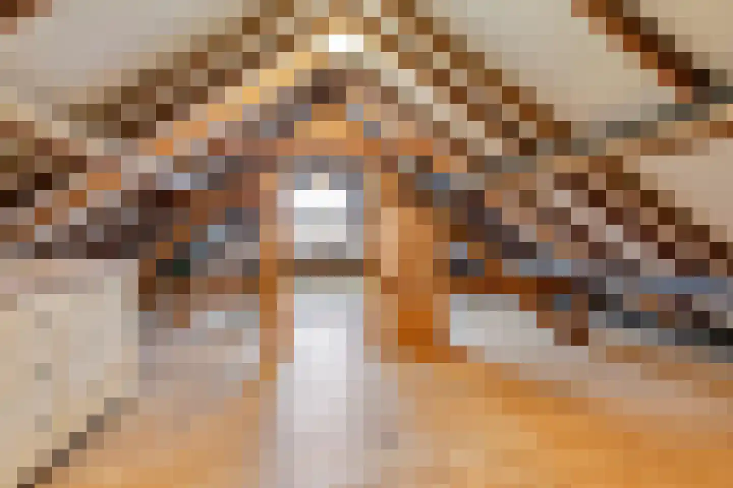 Ameidsedam 2 Spijk thumbnail 63