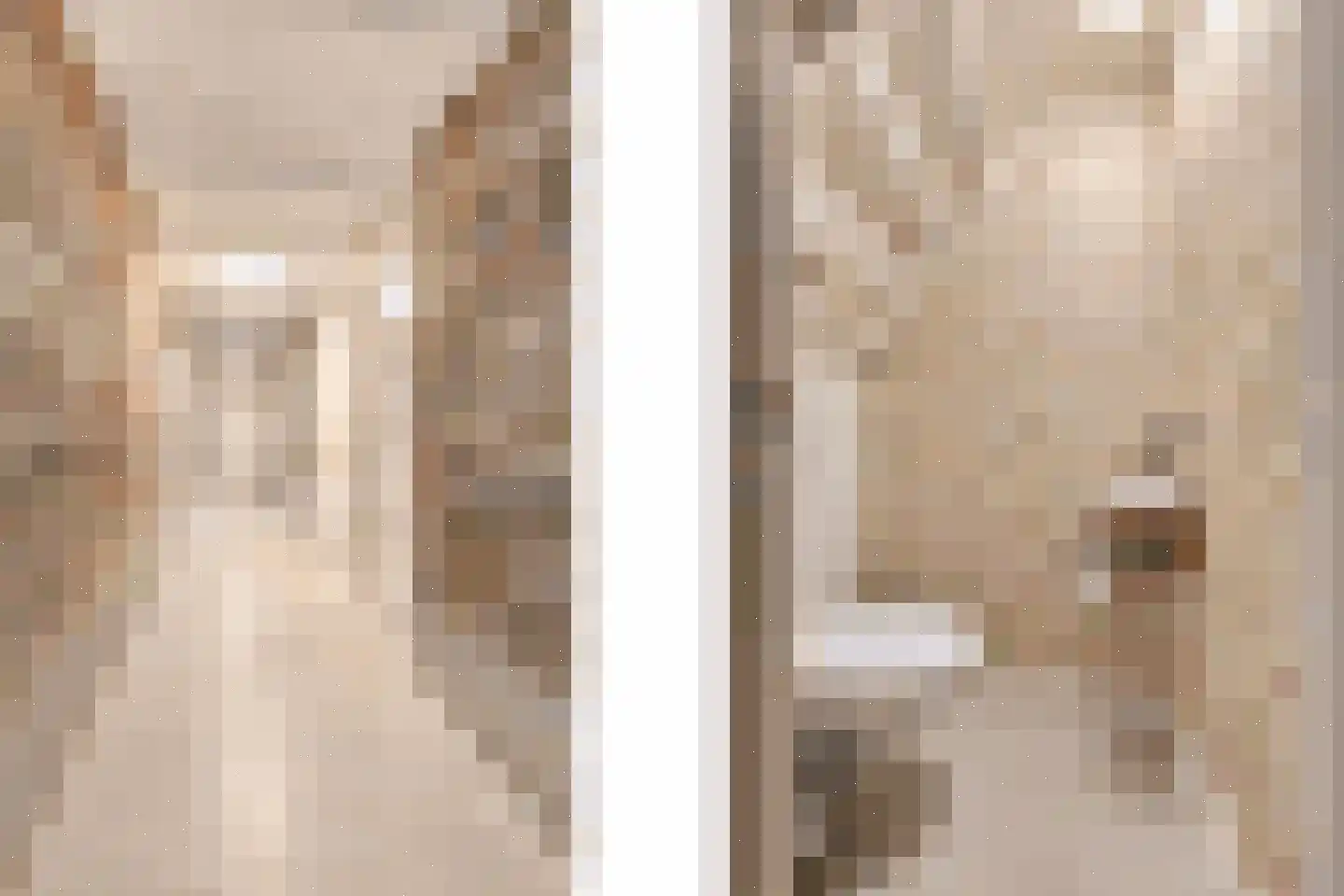 Ameidsedam 2 Spijk thumbnail 67