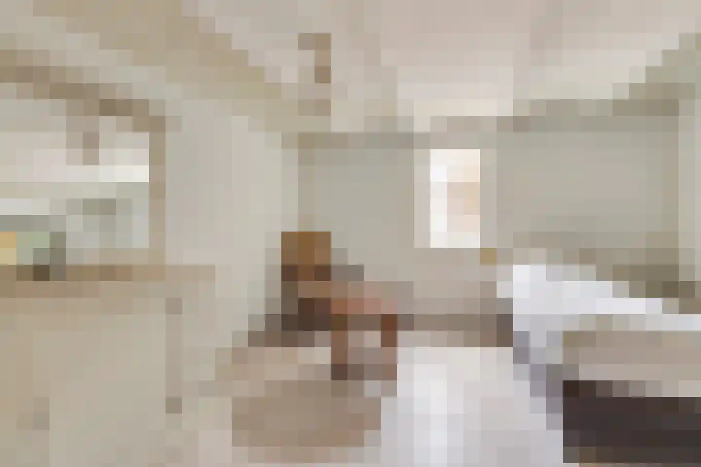 Ameidsedam 2 Spijk thumbnail 68