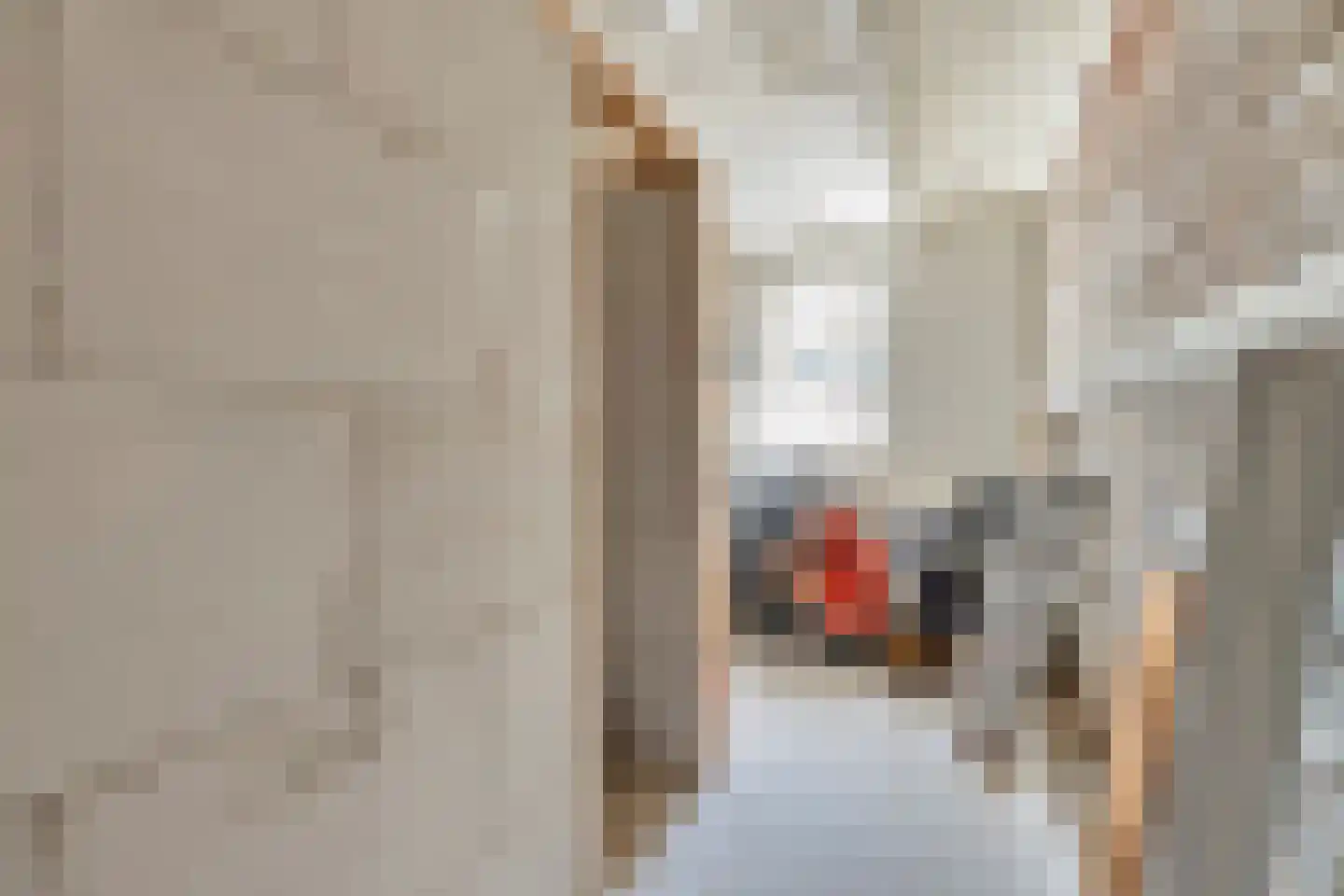 Ameidsedam 2 Spijk thumbnail 69