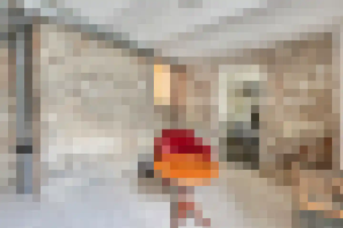 Ameidsedam 2 Spijk thumbnail 73