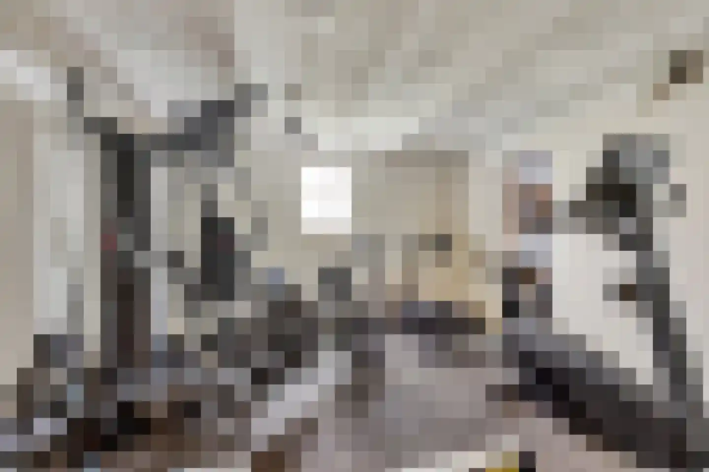 Ameidsedam 2 Spijk thumbnail 74