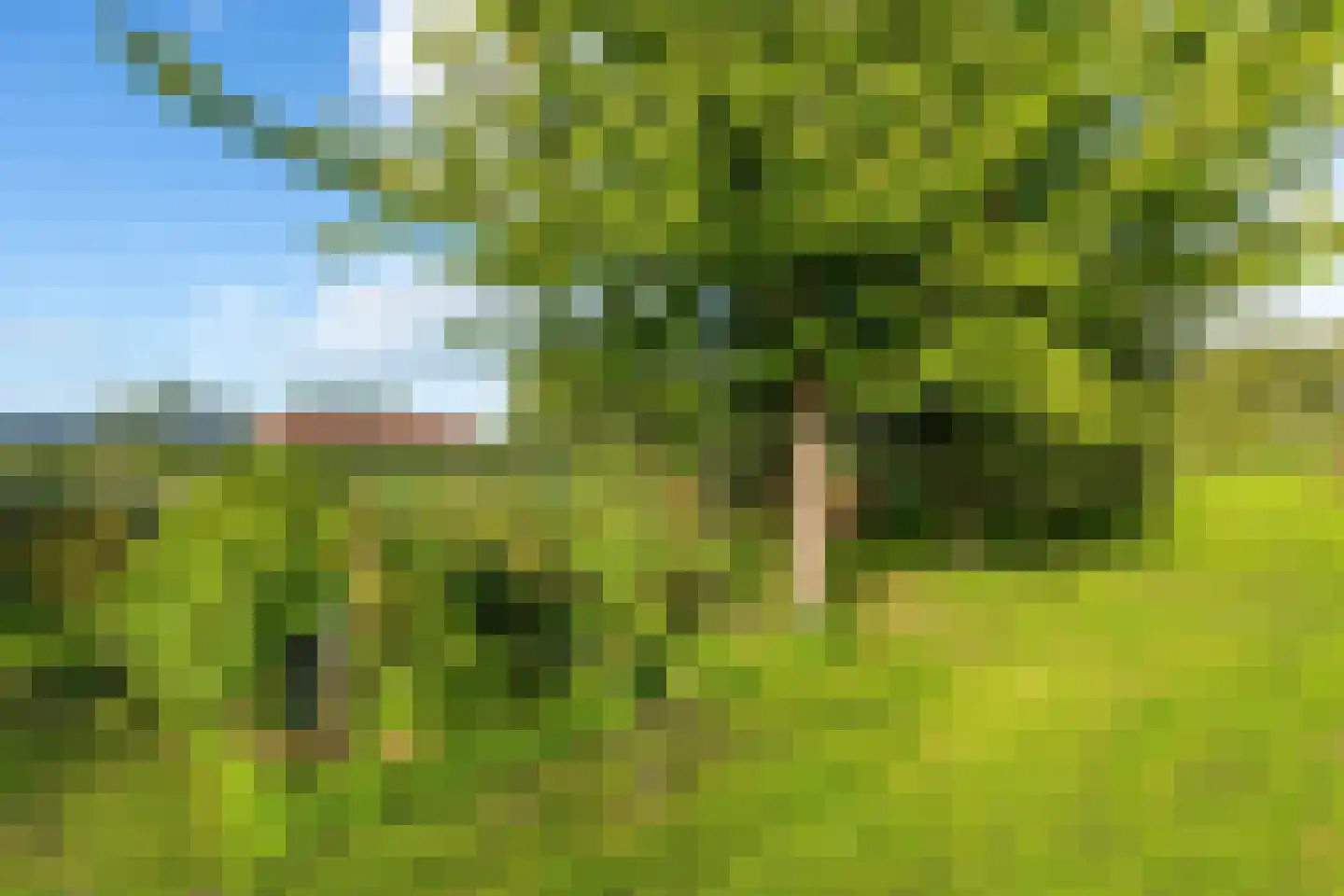 Ameidsedam 2 Spijk thumbnail 80