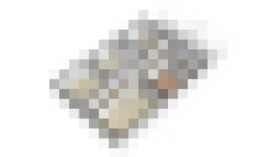 Ameidsedam 2 Spijk thumbnail 94