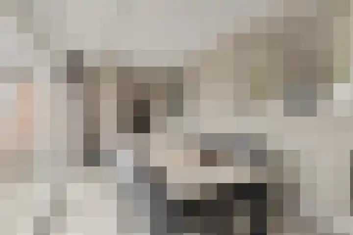 Ameidsedam 3 Spijk thumbnail 22