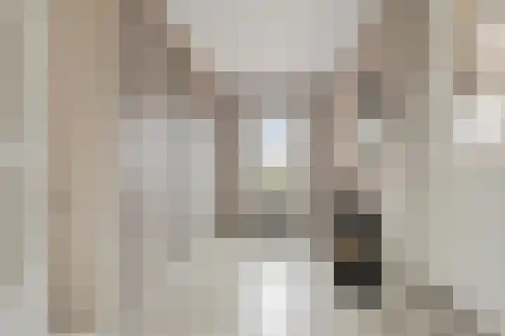 Ameidsedam 3 Spijk thumbnail 23