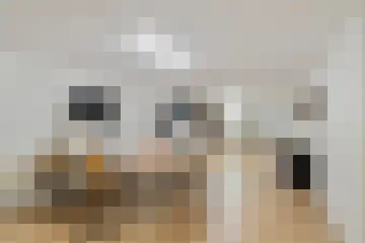 Ameidsedam 3 Spijk thumbnail 24