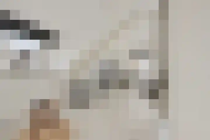 Ameidsedam 3 Spijk thumbnail 30