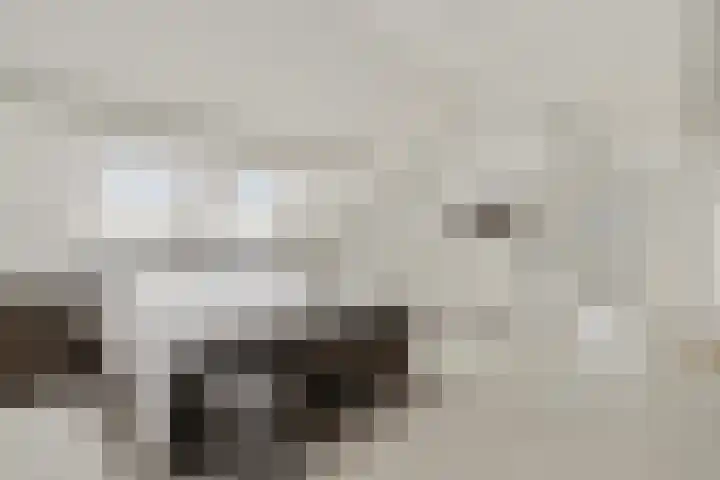 Ameidsedam 3 Spijk thumbnail 32