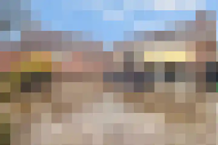 Ameidsedam 3 Spijk thumbnail 37