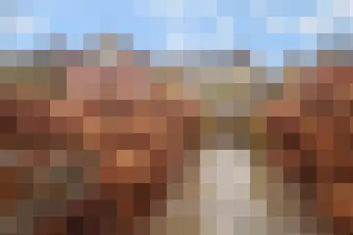 Ameidsedam 3 Spijk thumbnail 38