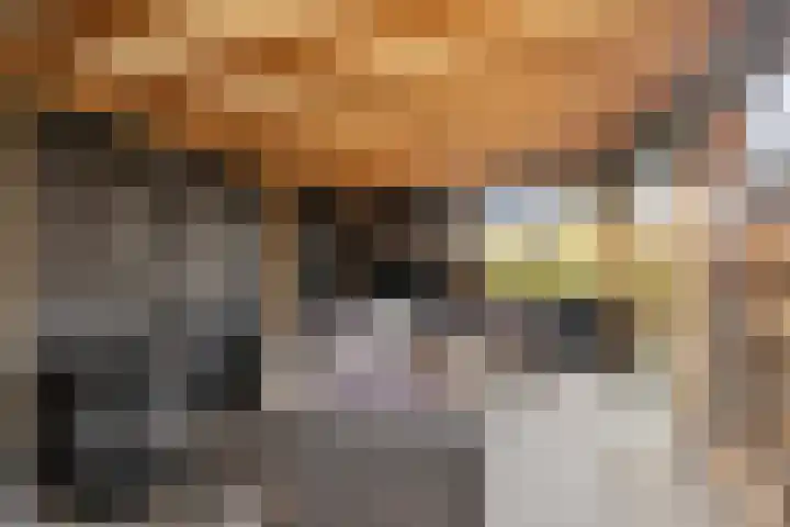 Ameidsedam 3 Spijk thumbnail 39