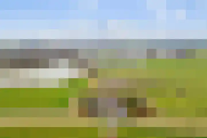 Ameidsedam 3 Spijk thumbnail 4