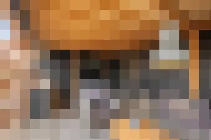 Ameidsedam 3 Spijk thumbnail 40